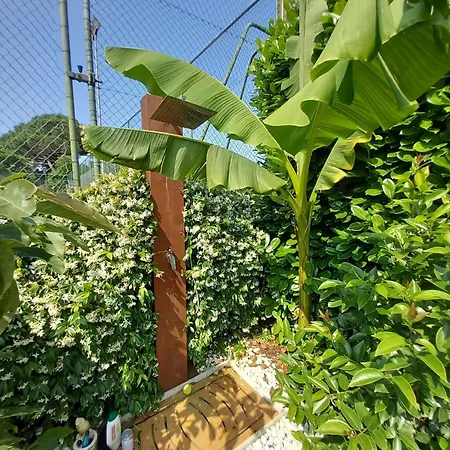 Nocleg ze śniadaniem Monte Tavolino Capodimonte