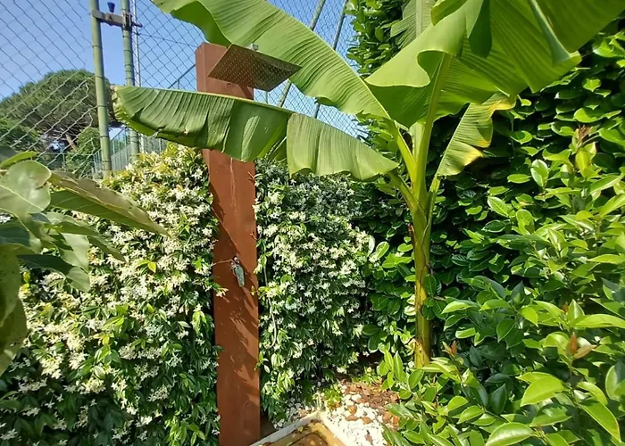 Bed and Breakfast Monte Tavolino Capodimonte